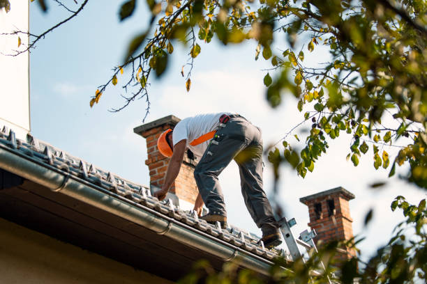 Best Roof Gutter Cleaning  in Ben Bolt, TX