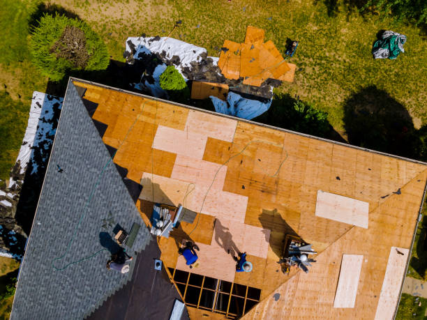 Best Commercial Roofing Services  in Ben Bolt, TX